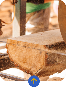 Madera
